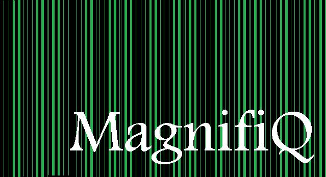MagnifiQ