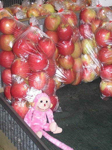 [IMG_2405+RESIZE.jpg]