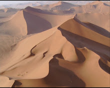 PLANETA TIERRA