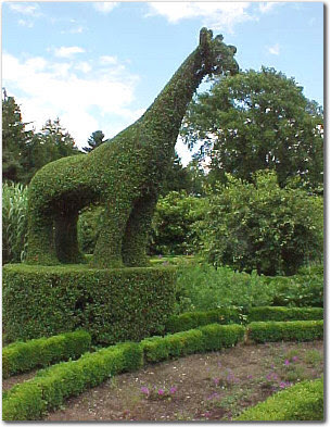 green%2Banimal.jpg