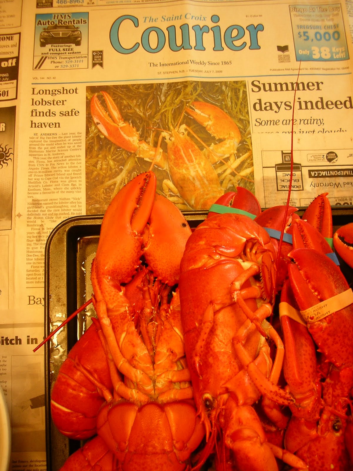 Living in New Brunswick Lobster Fishing