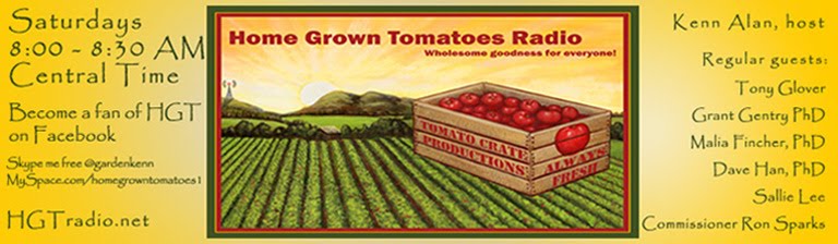 Home Grown Tomatoes