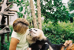 Panda Time
