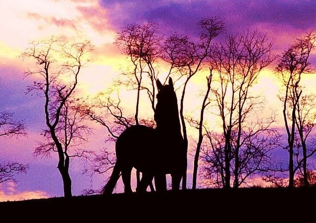 Hintergrund von Pferde bei Hintergrund von Pferde bei