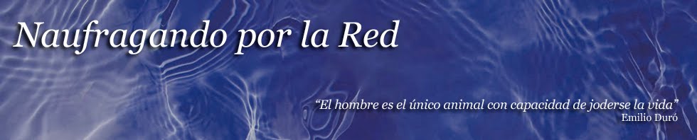 Naufragando por la Red