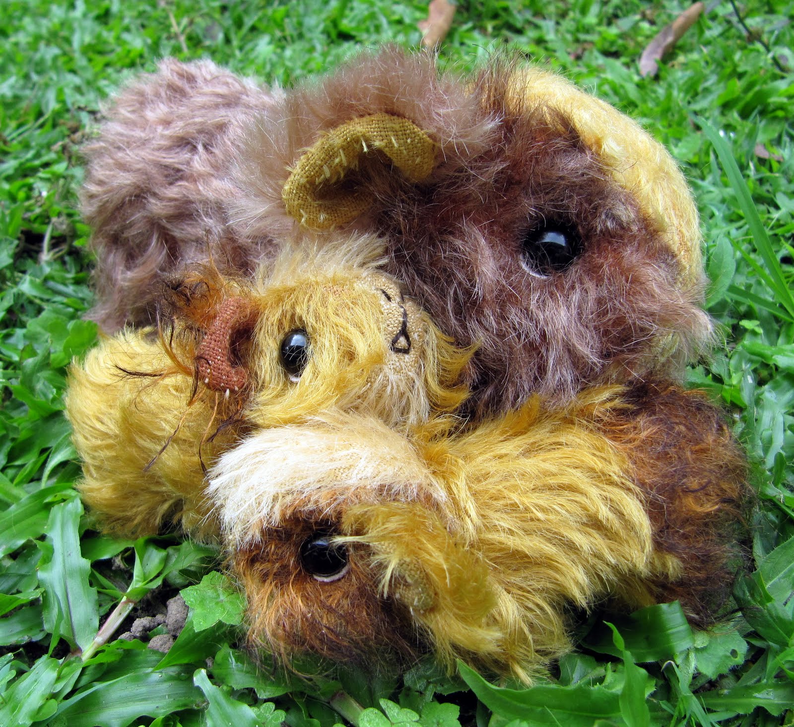 The Inner World of Emma's Bears New Guinea Pig Family Cherry and babies