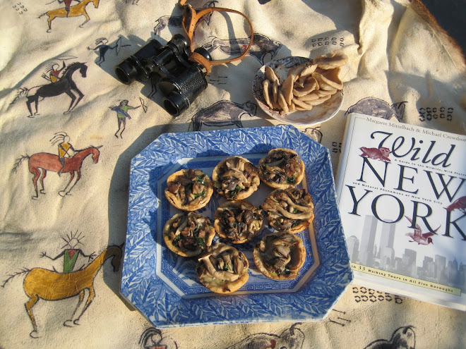 Wild Mushroom Tarts with Wild New York