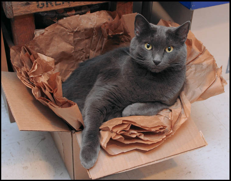 [Betsy+in+a+Box+-+10-05.jpg]