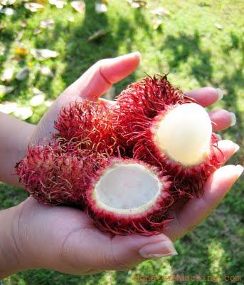 rambutan_1.jpg