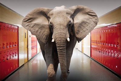 elephant school