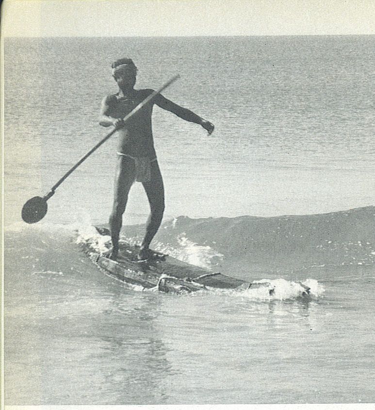 [SUP-1.jpg]