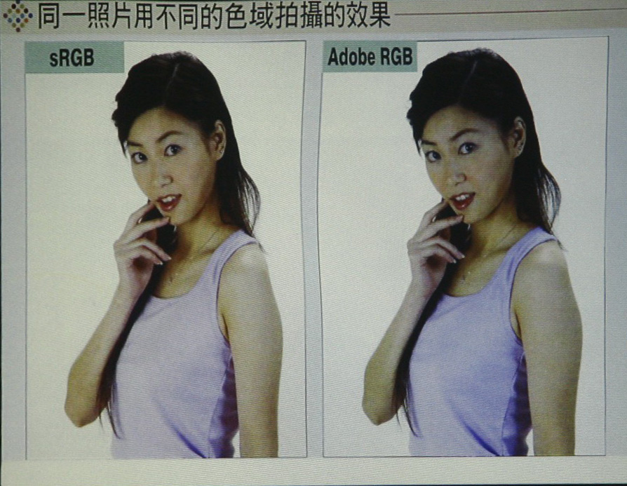 [æ¸¬å…‰_adodbRGB_sRGB.jpg]