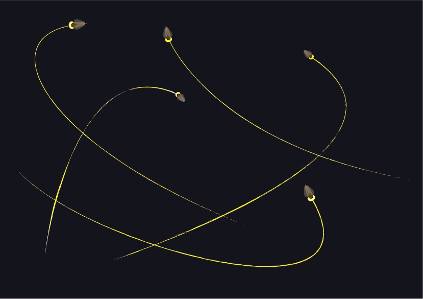 [fireflies.jpg]