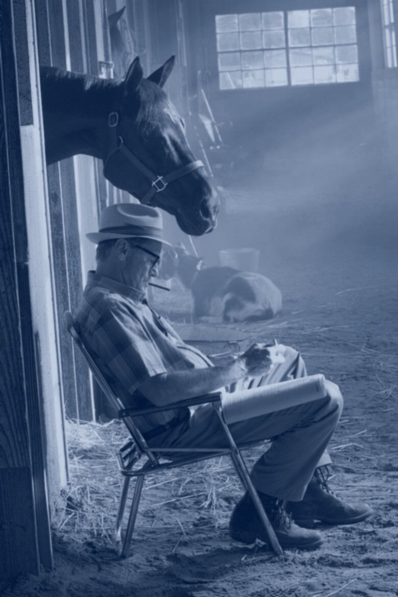 [ruffian-stall-004-big-LR-722458_.jpg]