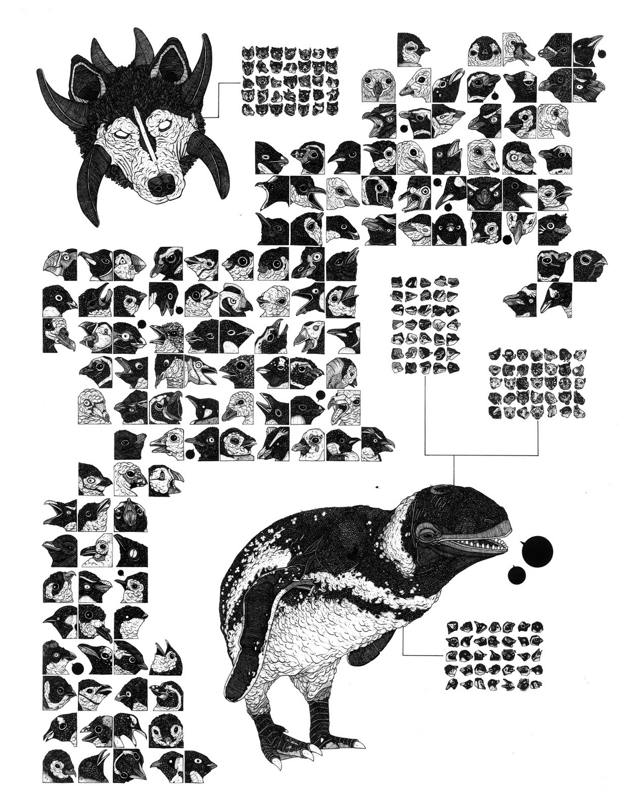 [PolarRegionWeb.jpg]