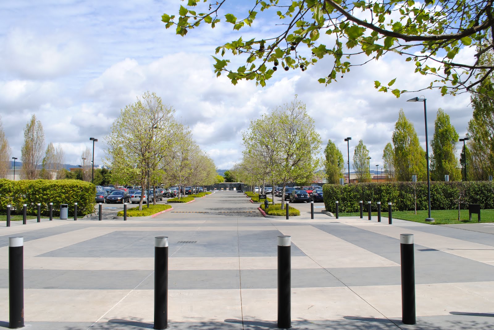 http://4.bp.blogspot.com/_dS9o2xQUbsU/S8jl3FjFTqI/AAAAAAAAEI4/XeptpYPuN90/s1600/Pixar_parking_lot.jpg