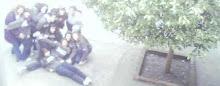 E G R E S A D O S  2008
