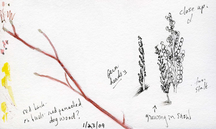 [pg+2+1-23-09+resz+72dpi.jpg]