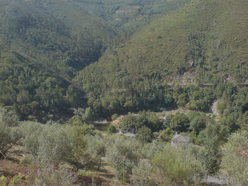 [DSC00085.JPG]