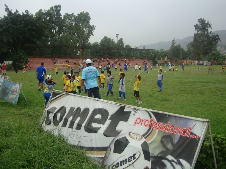 AMISTOSO DE FUTBOL