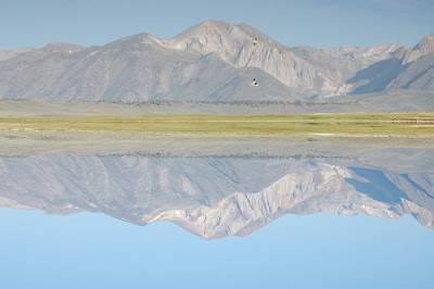 Is that just so beautiful? The ...