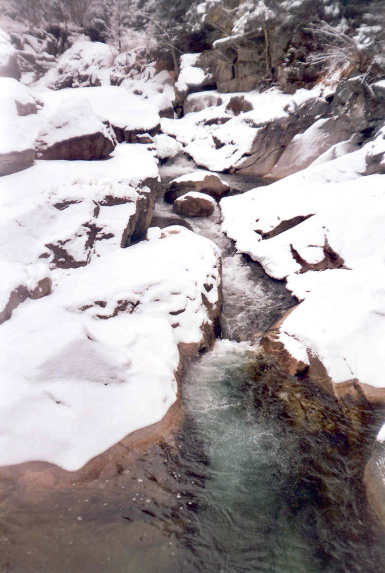 [30.12.2004+-+Retezat+(05).jpg]