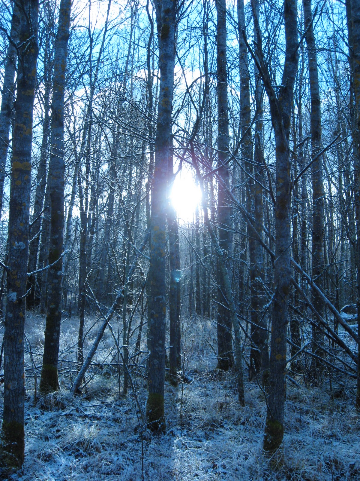 Annies blå: november 2010