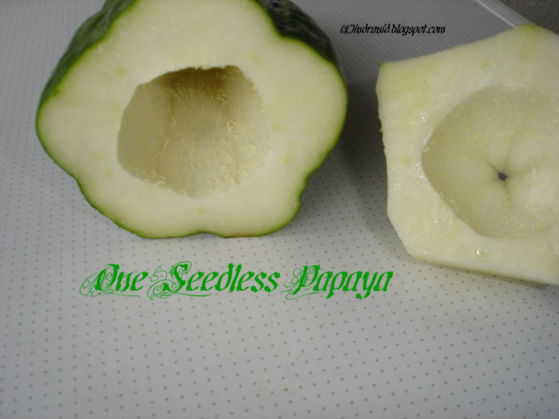 Appyayan Peper Dalna (Bengali green papaya Curry) Recipe Junction