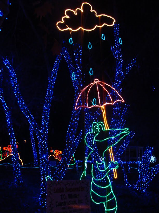 our family holiday lights at calm our family holiday lights at calm