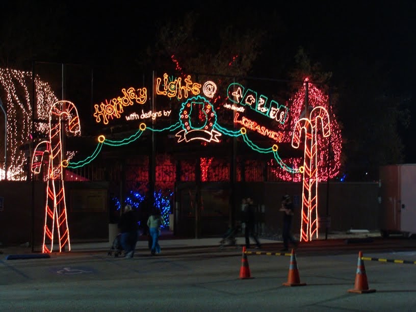 Our Family Holiday Lights at CALM