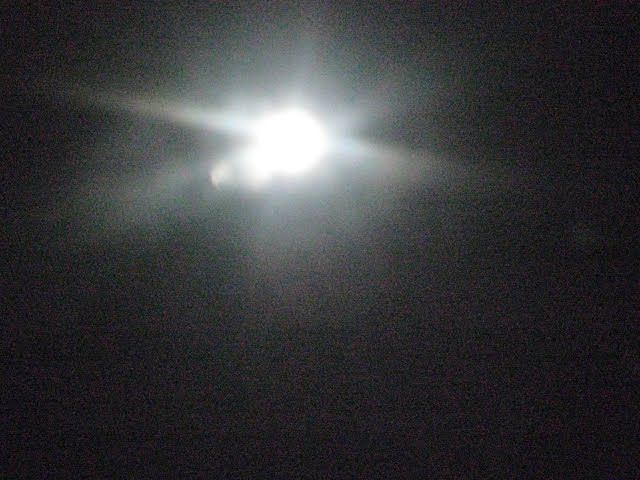 [IMG_5238.JPG]