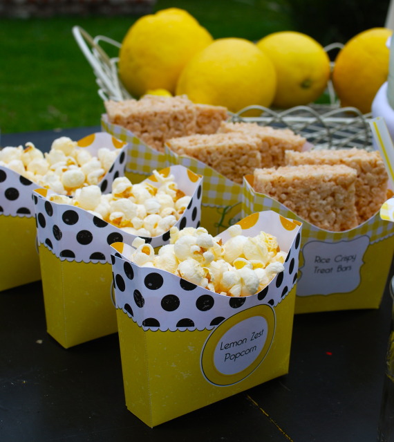 Party Wishes Lemonade Stand