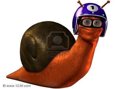 racing+snail.jpg