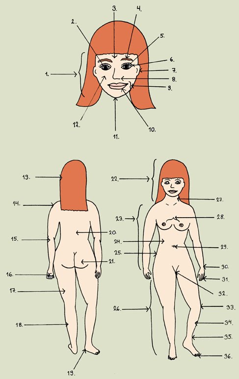 karvat pois alapäästä tampere seksi karvat pois alapäästä tampere seksi