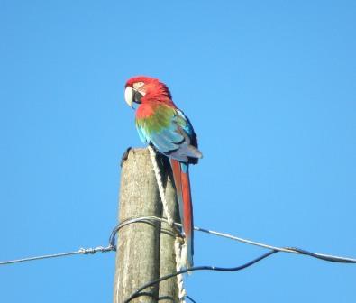 [P2020449.jpg]