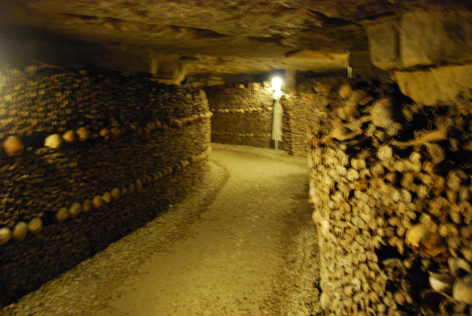 [DSC_0188.JPG]