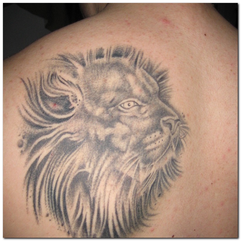 lion tattoos. Lion Tattoos and Tattoo