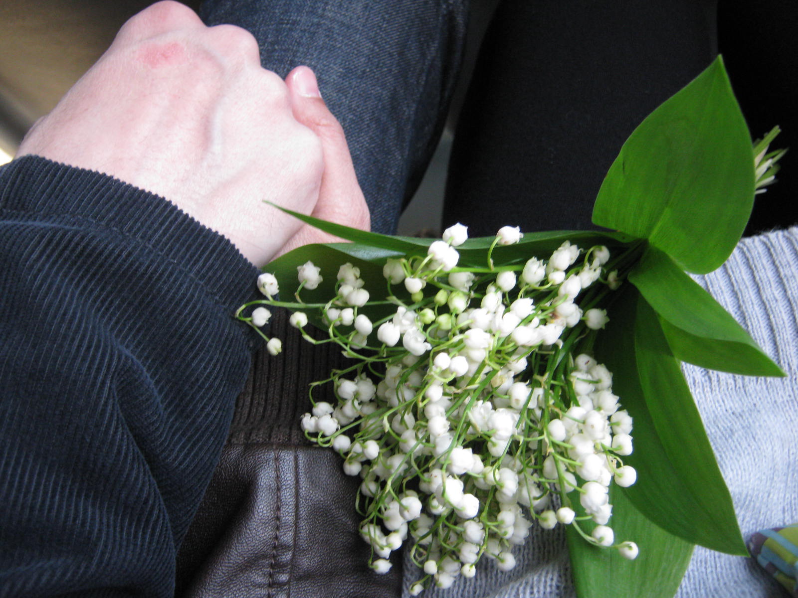 Моя Россия 喀秋莎日记Living in Russia Lily of the Valley Return of Happiness