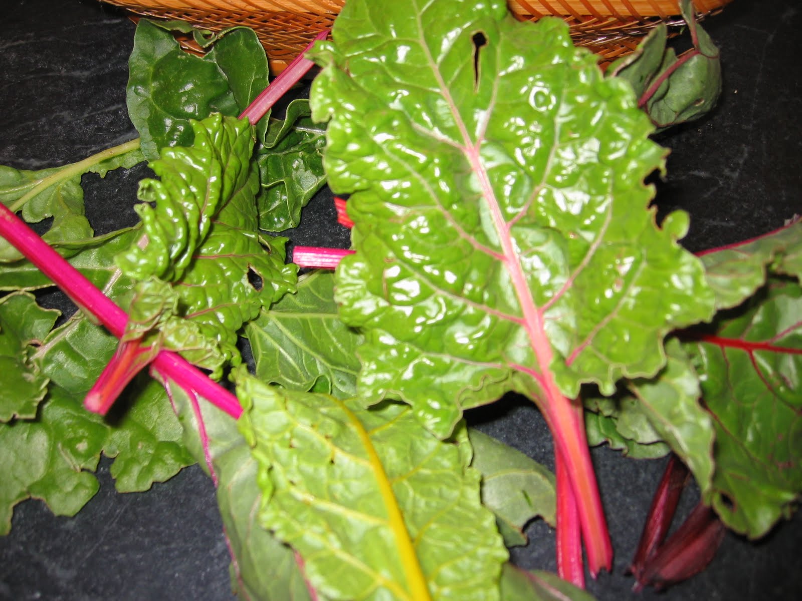 Toni's Square Foot Garden: Garden Harvest 9/1/10