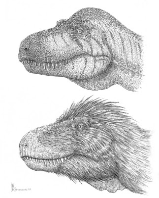 dino dino