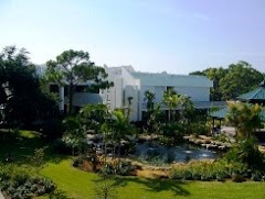 Library at the Palm Beach Gardens Campus