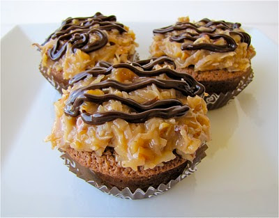 chocolate cupcakes chocolate cupcakes