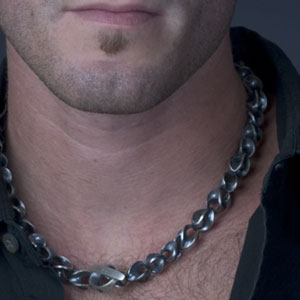 [Lg-Vertebrae-Bottom.jpg]