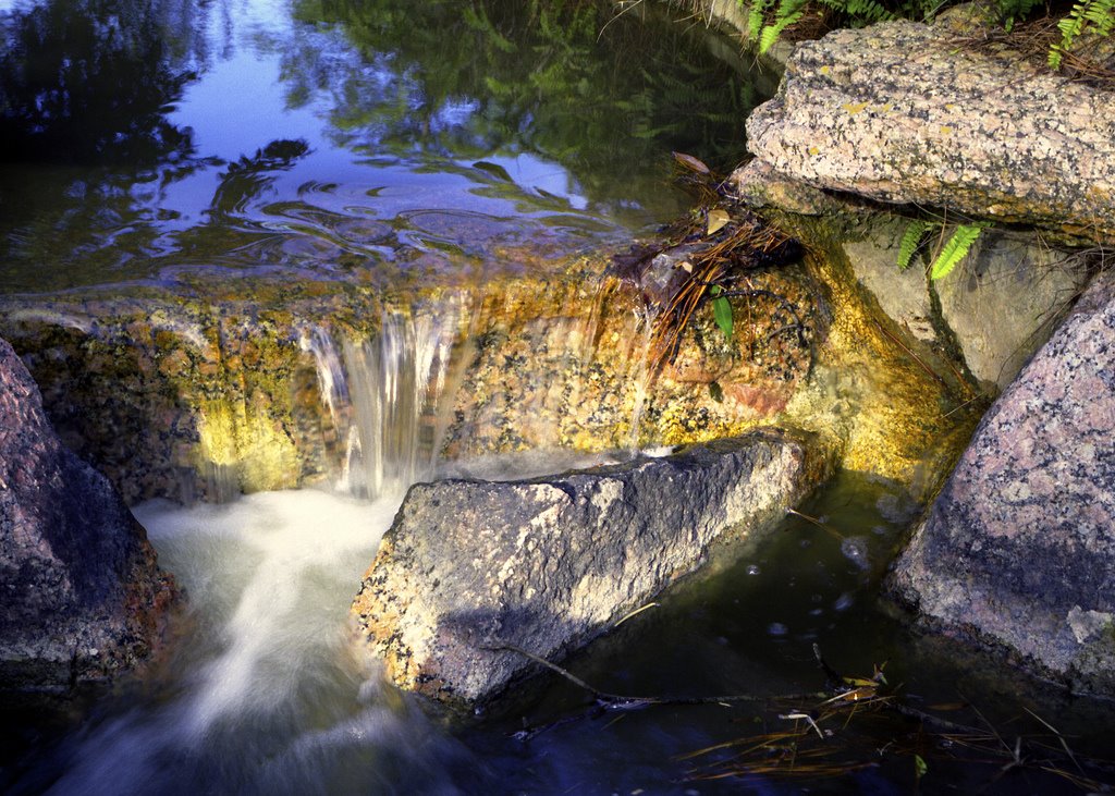 [2263346835_b5fe566916_b.jpg]