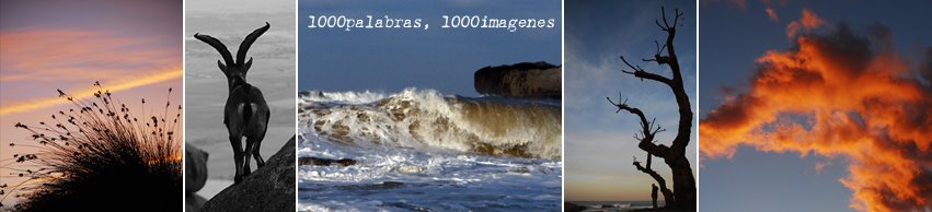 1000palabras, 1000imagenes