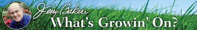 Jerry Baker's What's Growin' On?: It’s Time for Tomatoes!
