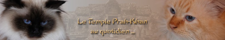 Le Temple Prah-Khan