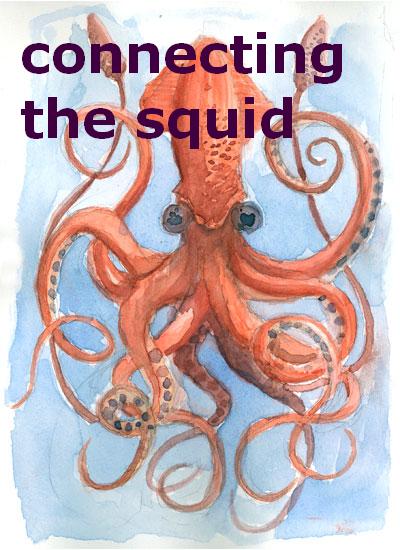 connecting the squid
