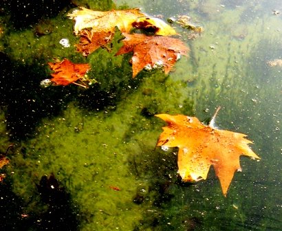 [IMG_0065pe.JPG]