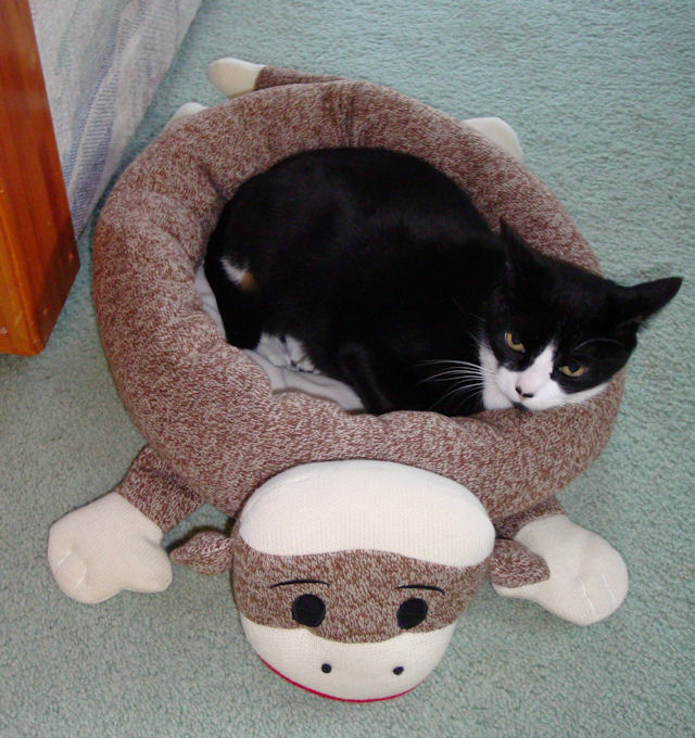 Monkey S House Sock Cat Bed Sock Monkey Cat Bed